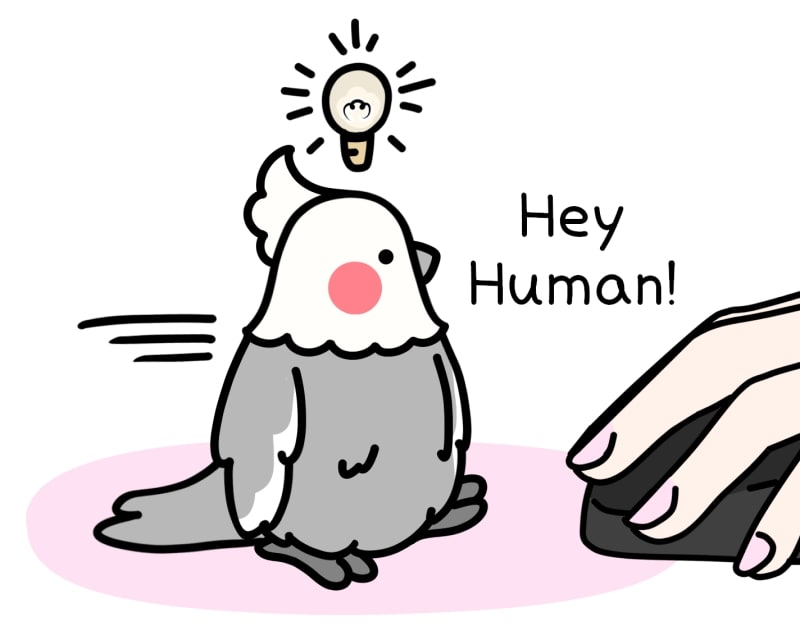 Sunday comics - ItsABirbThing : Had A Bath