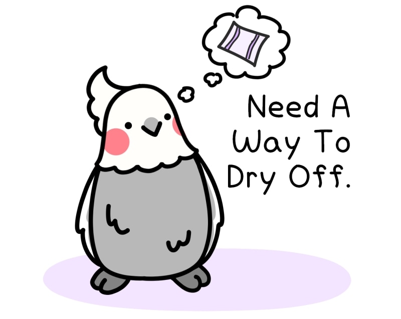 Sunday comics - ItsABirbThing : Had A Bath