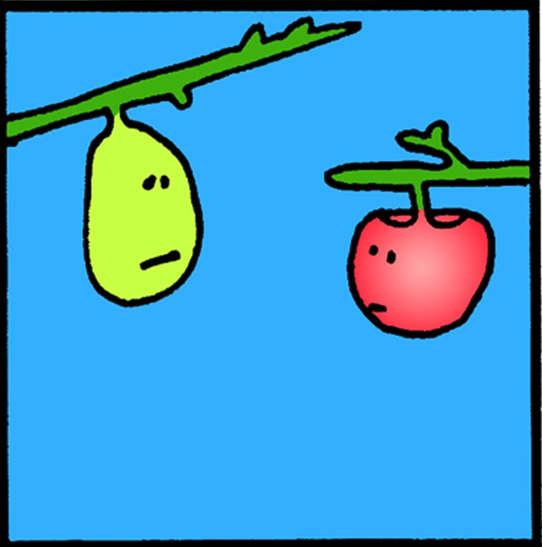Read QuickDraw Apple and Pear Trying It On Tapas Comics