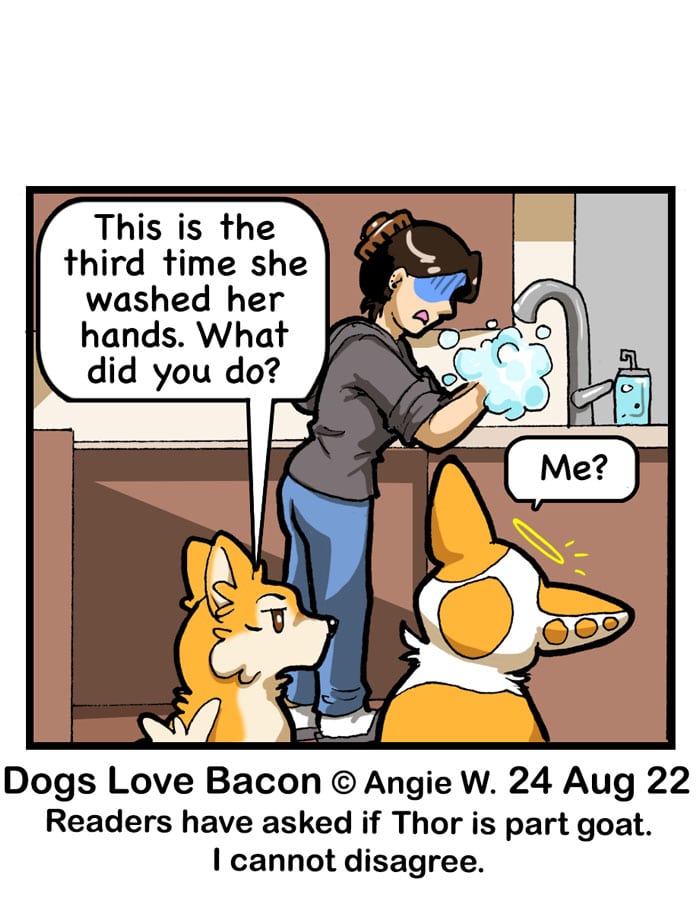 Read Dogs Love Bacon 91 Dog versus Germaphobe Tapas Comics