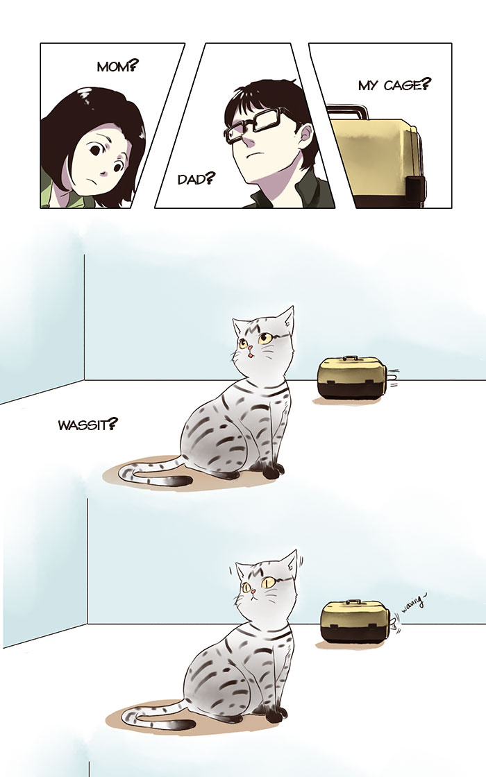 First Impression 71