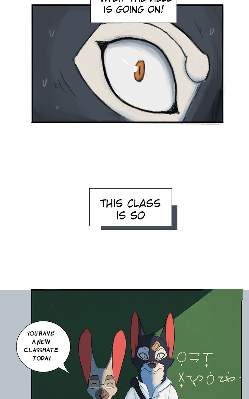 Bridge Comic New School Tapas