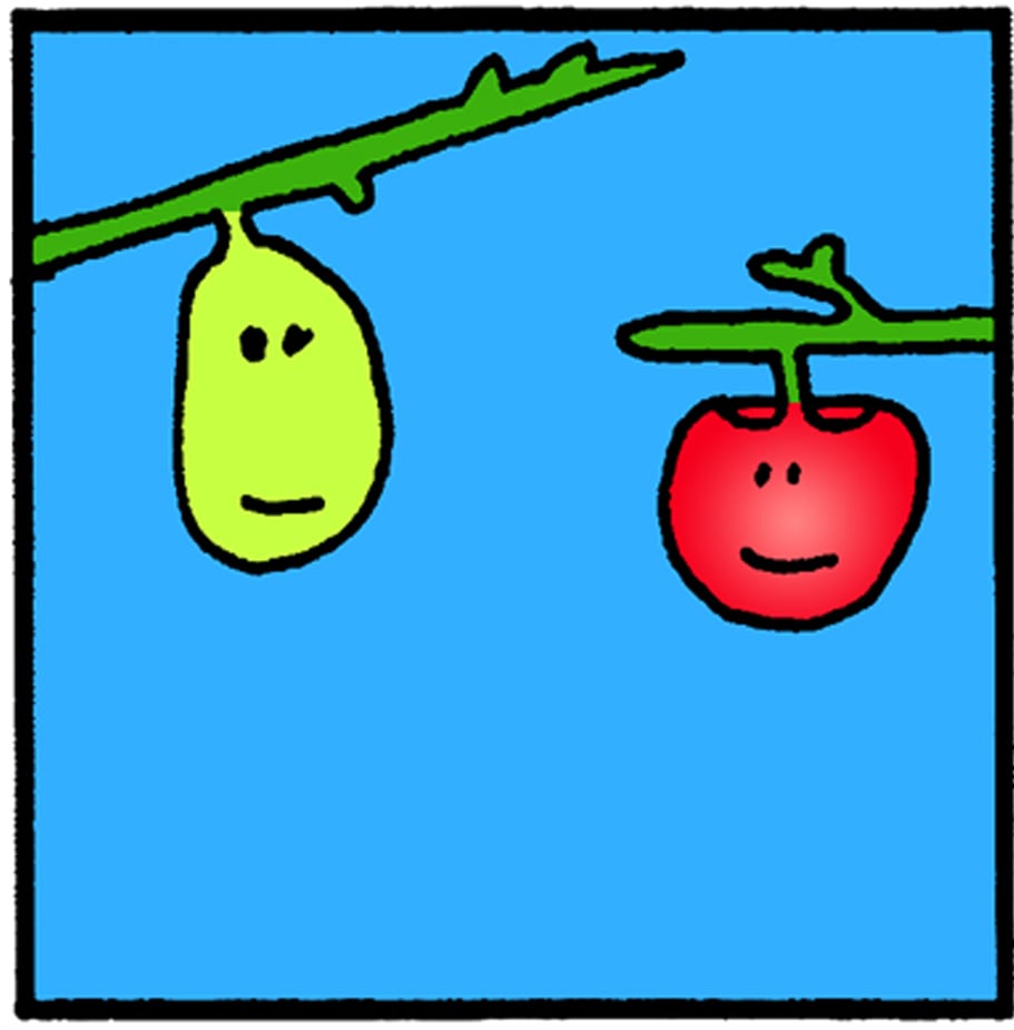 Read QuickDraw Apple and Pear "Name Check" Episode 004 Tapas