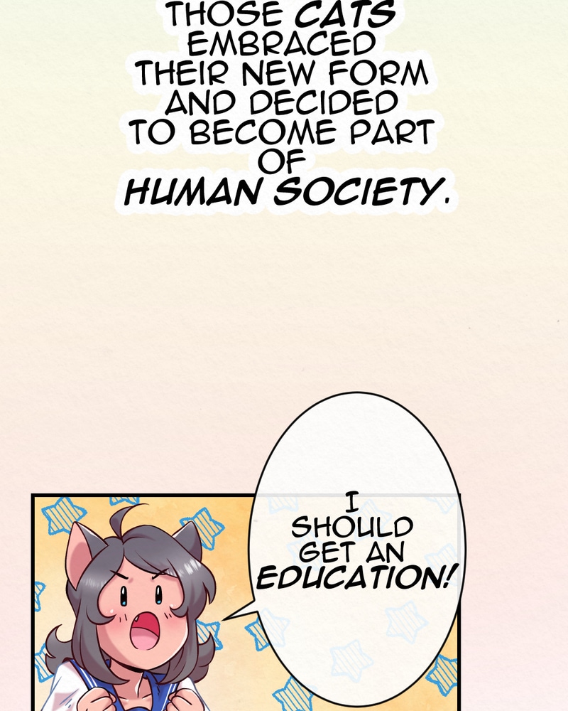 read-you-ve-gotta-be-kitten-me-prologue-tapas-comics