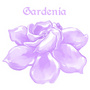Gardenia