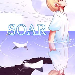Soar