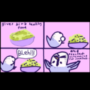 #_h_i_g_h_L_i_g_h_t_#Birbs#/_h_i_g_h_L_i_g_h_t_#