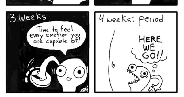 sarah s scribbles the
