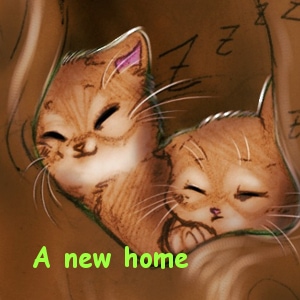 A new home
