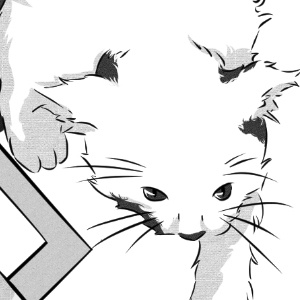 14 / Second Chapter / When death is near