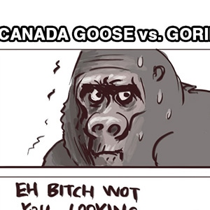 canada goose vs gorilla