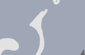 custom banner
